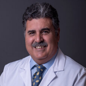 Fernando Losa Domínguez