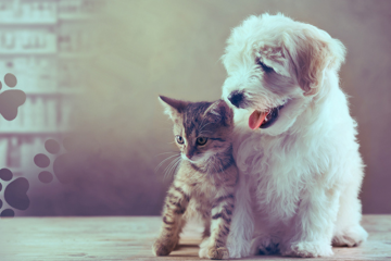 Diseño sin título (83)