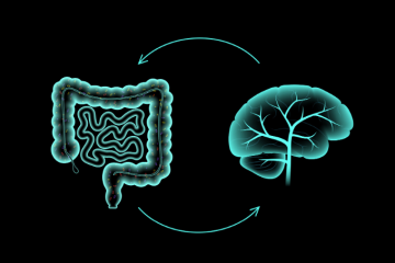 Intesti_cervell_Blog_680x453