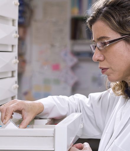 Cropped view of pharmacist taking medicine from drawer